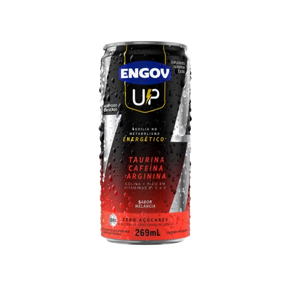 Engov UP